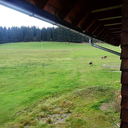 Wernet Schönwalde